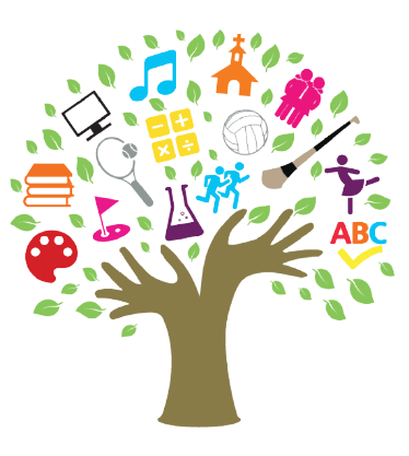 curriculum